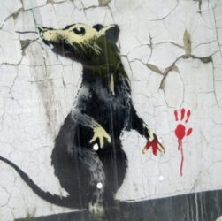 Mural tema binatang karya banksy hiasi penjuru london apa maknanya