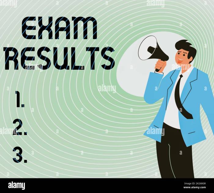 PENGUMUMAN HASIL SEMENTARA SELEKSI ADMINISTRASI