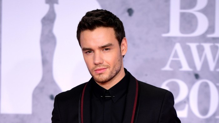 MEDIA INFORMASI MEDAN Liam Payne dan dunia fashion