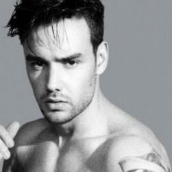 MEDIA INFORMASI MEDAN Liam Payne dalam dunia hiburan