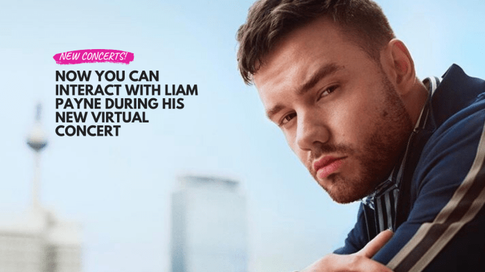 MEDIA INFORMASI MEDAN konser virtual Liam Payne