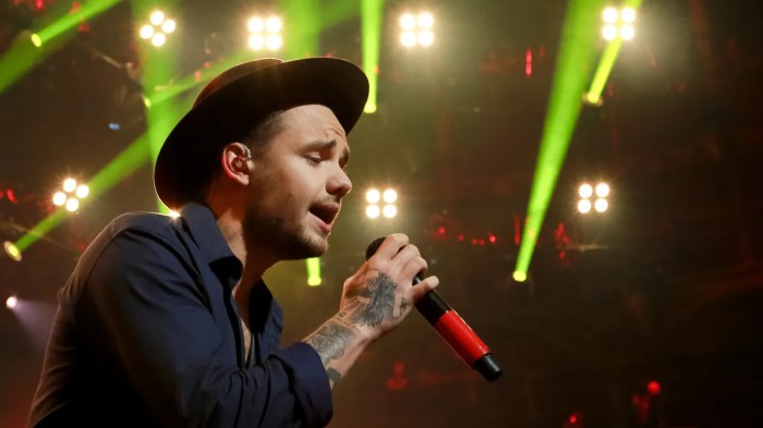 MEDIA INFORMASI MEDAN Liam Payne di festival musik