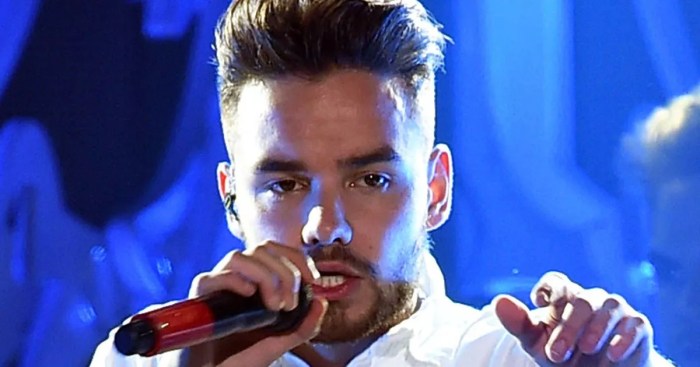 MEDIA INFORMASI MEDAN karir solo Liam Payne