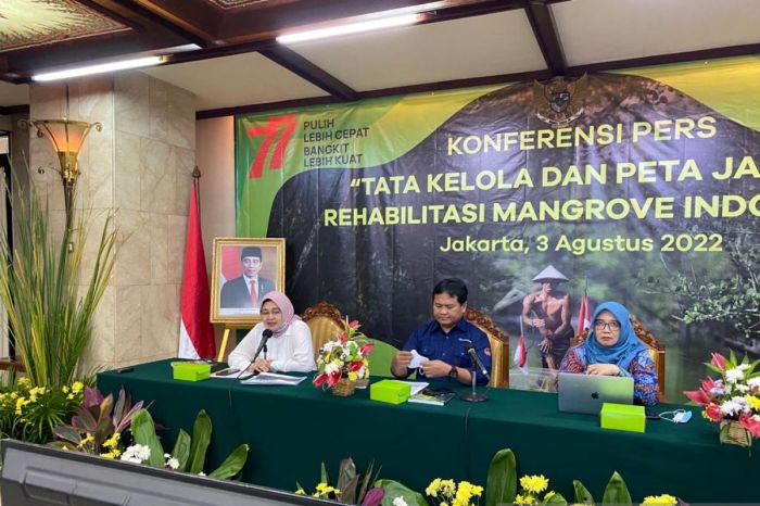 Brgm ajak sejumlah pihak pulihkan ekosistem mangrove lewat silvofishery