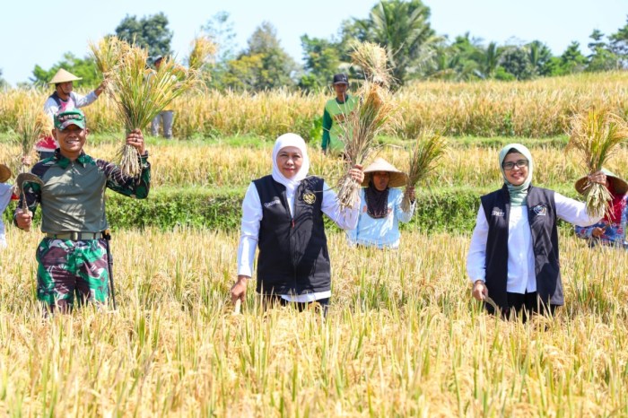 Hkti sampaikan komitmen khofifah soal digitalisasi pertanian di hari tani