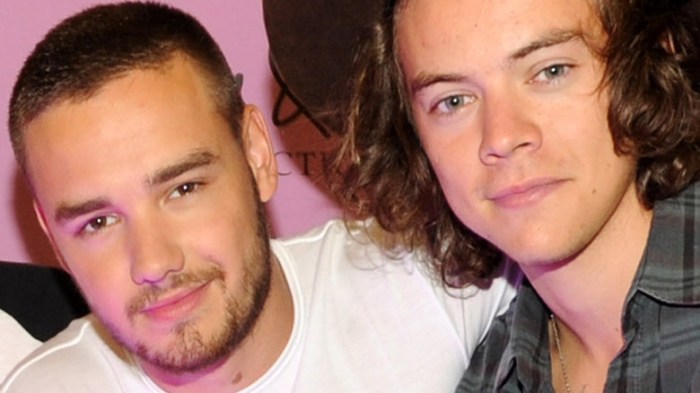 MEDIA INFORMASI MEDAN Liam Payne dan Harry Styles