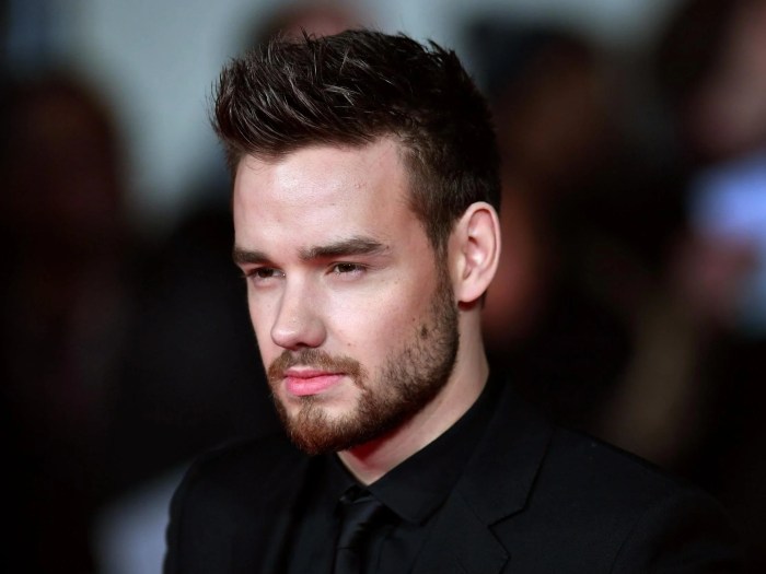 MEDIA INFORMASI MEDAN Liam Payne dalam film dan TV