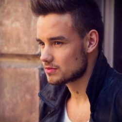 MEDIA INFORMASI MEDAN profil karir Liam Payne