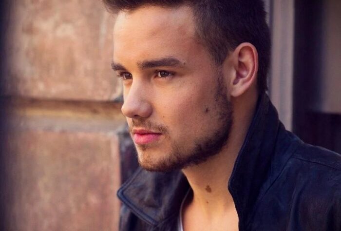 MEDIA INFORMASI MEDAN profil karir Liam Payne