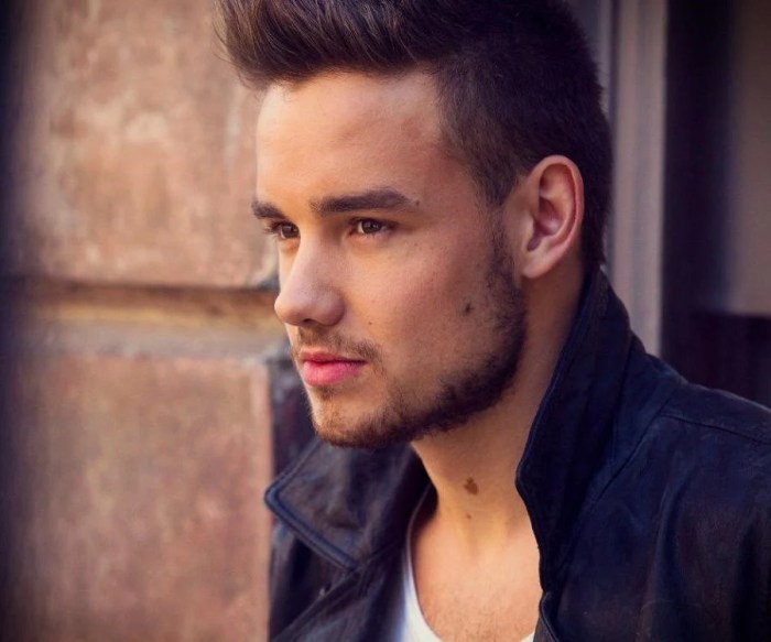 MEDIA INFORMASI MEDAN profil karir Liam Payne