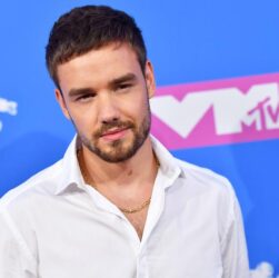 MEDIA INFORMASI MEDAN Liam Payne dalam industri musik