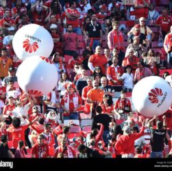 CHUTOGEL - Reaksi fans Benfica setelah kekalahan