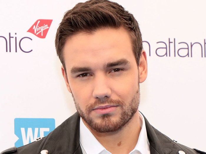 MEDIA INFORMASI MEDAN kisah perjalanan karir Liam Payne